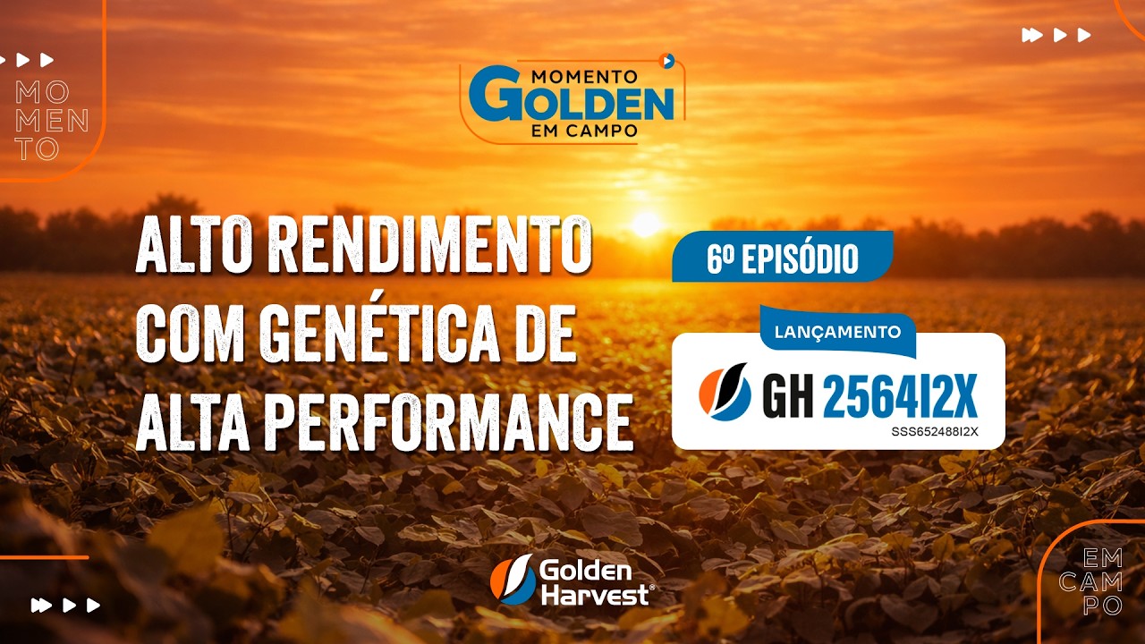 Momento Golden em Campo - Episódio 6: Alto rendimento pede a