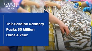 How The World’s Longest-Running Sardine Cannery Packs 60 Million Cans A Year | Big Business