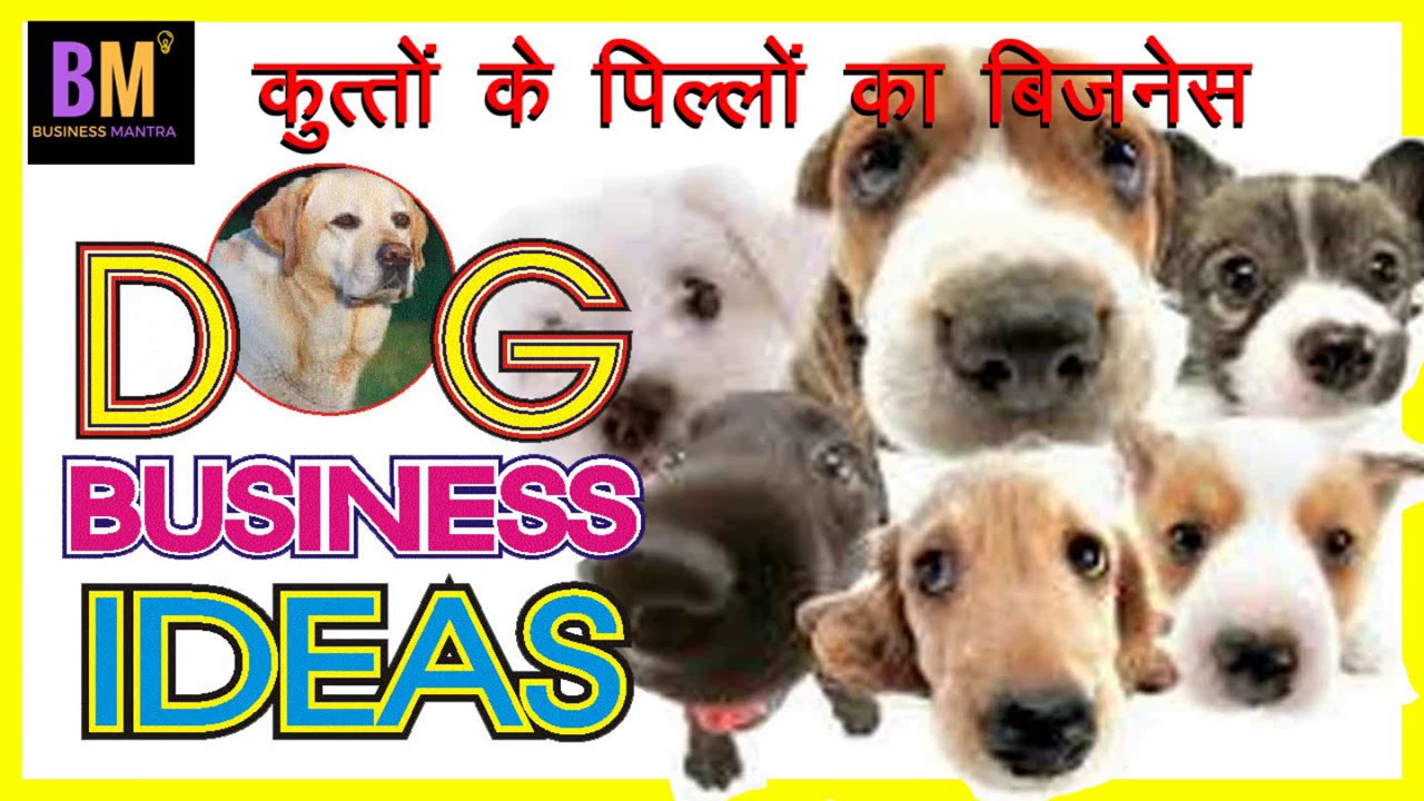 Dog Business Ideas कुत्तों के पिल्लों का बिजनेस Business Mantra