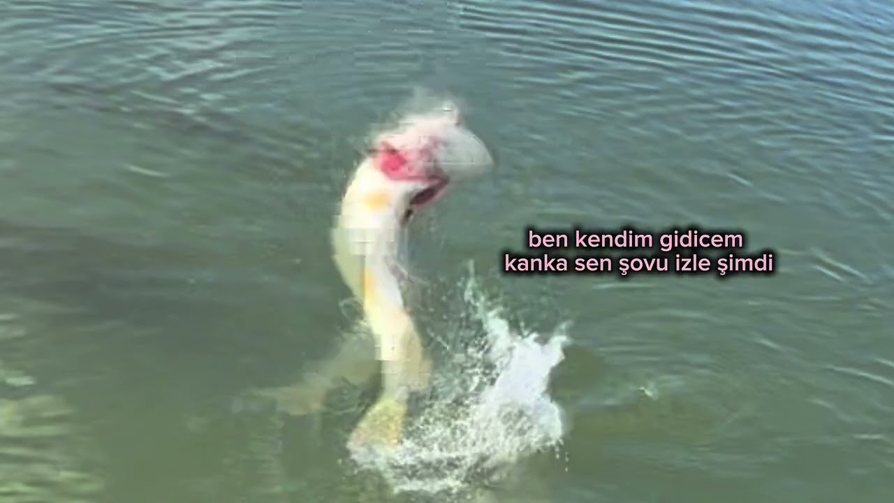 SAKİN BİR BALIK AVI GÜNÜ/DOĞAYI KORU, İZ BIRAKMA.