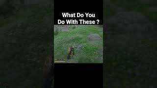 Crimson Desert Question