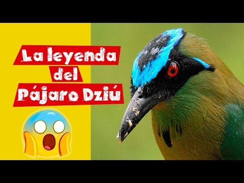 La leyenda del pájaro Dziú