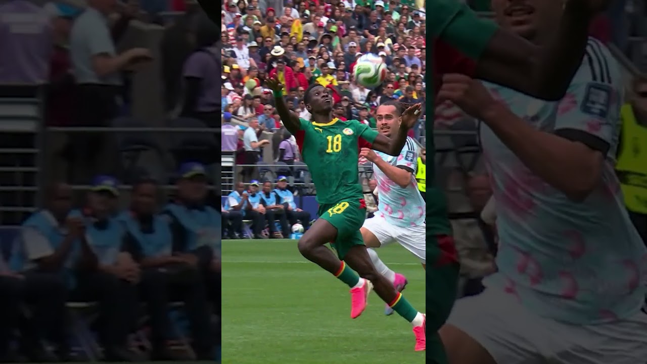 Belgium v Senegal: Niakhaté’s Pass Opened Everything