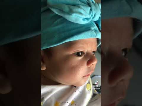 Video Hổ Đực Peter 2m26d nhả vía combo mắt 2 mí to tròn mũi... - youtube