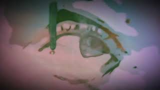 Roedelius & Arnold Kasar - Lifeline