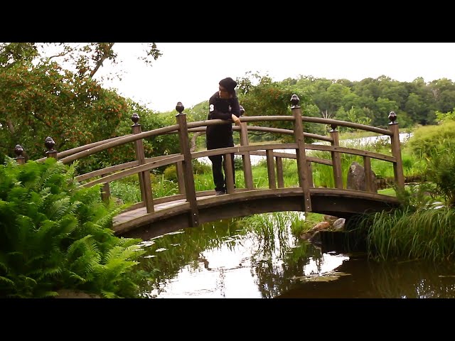 Pradaaslife  - Again & again (Official Music Video)