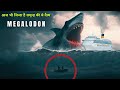            megalodon shark