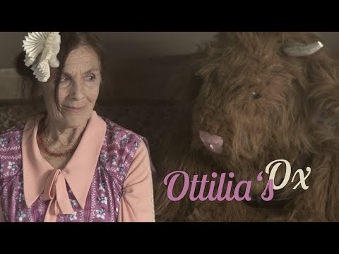 Ottilia's Ox / Ottilias Ochse / Short Film