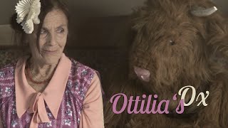 Ottilia's Ox / Short Film