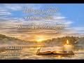 When the World Gets Loud: Returning to Stillness
