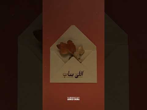 مراسلات أحمد دومة في أقوى حالاته Shorts