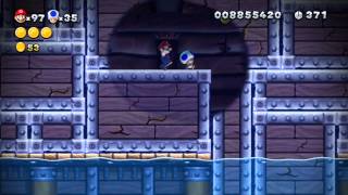 Super Mario Wii U - Sparkling Waters Secret - Skyward Stalk Wealth