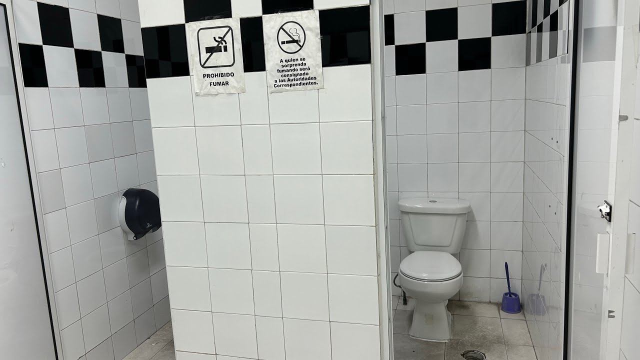 177. 2010s Cato Jazmin Toilets at a Gas Station. YouTube