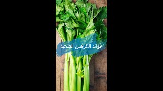 فوائد الكرفس الصحية