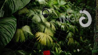 Sound - Strong Hi Tech Alien Voice 4 | AudioJungle Download