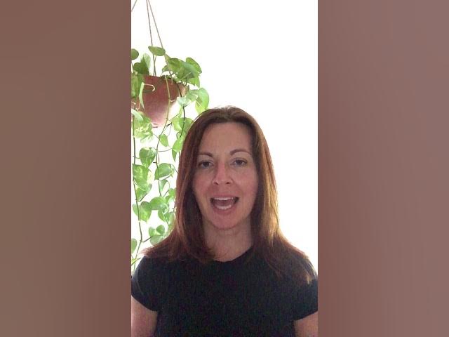 Outline Video Perspectives