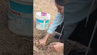 mitti ka ghar🥺 #vlog 3 #minivlog #shortvideo #views #thumbnail