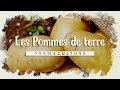 Tout savoir sur la culture de la pomme de terre