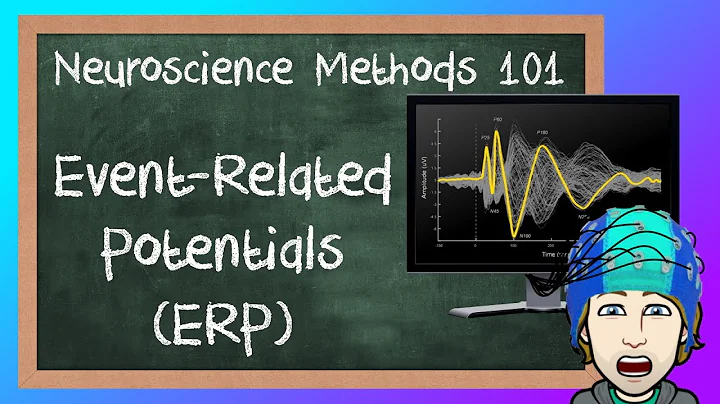 Event-Related Potentials (ERP) explained! | Neuroscience Methods 101