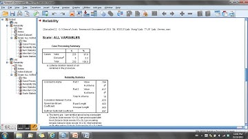 Split-half reliability analysis (Spearman-Brown coefficient)
