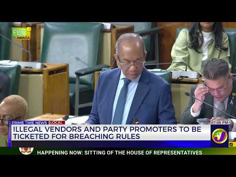 Illegal Vendors And Party Promoters To Be Ticketed For Breaching Rules | TVJ News