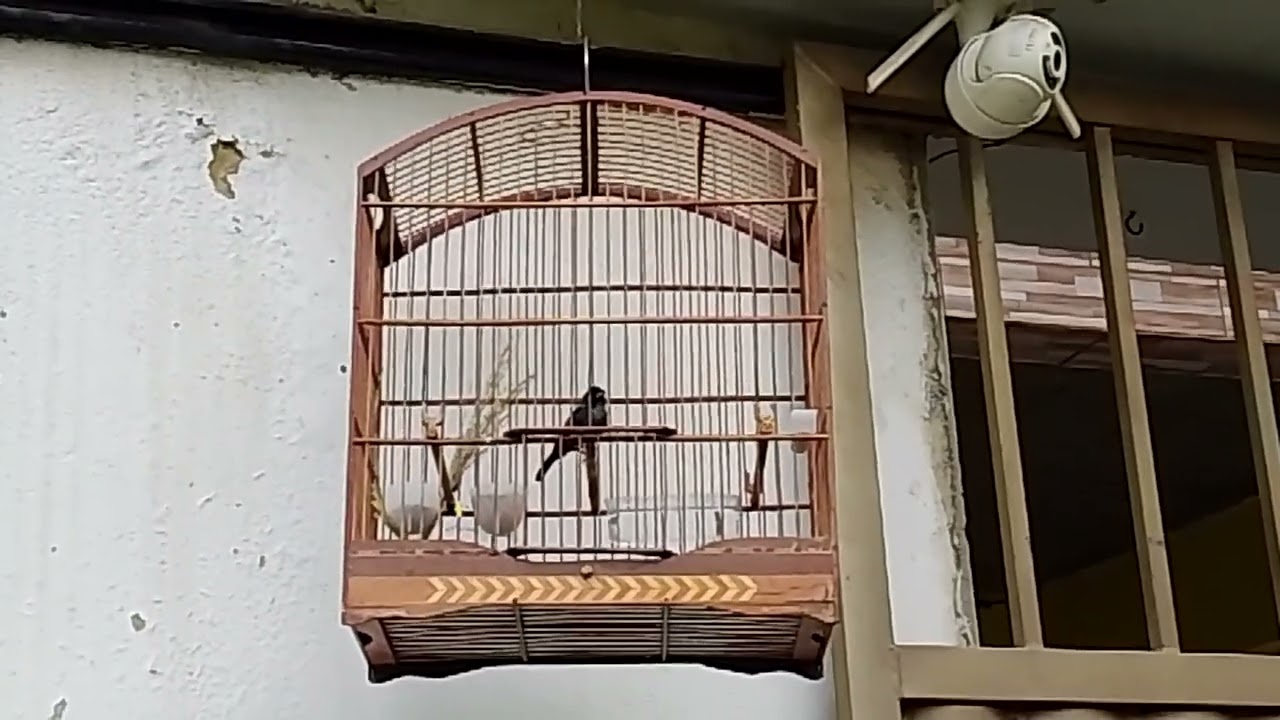 27 de janeiro de 2026