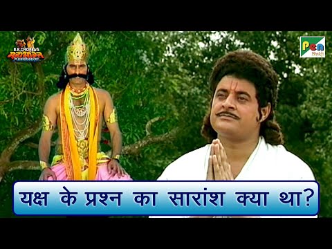 यक्ष के प्रश्न का सारांश क्या था? | Mahabharat Scene | B R Chopra | Pen Bhakti