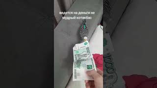 Повелся Tiktok Ramazan.201692