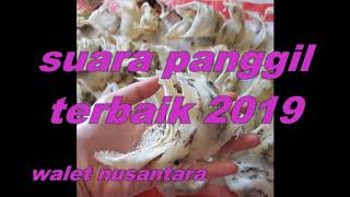 Suara Walet Terbaik 2019