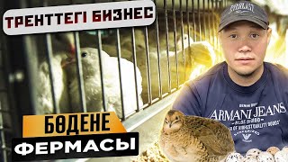 Бөдене фермасын ашуға алғашқы қадамдар…