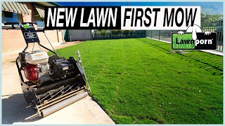 New Lawn (TifTuf Bermuda) - First Mow and Foliar Fertiliser Treatment screenshot 5