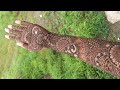Letest trending easy and simple full hand mehandi design floral design #trending #viralvideo #viral 