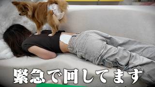 娘が怪我をしてしまいました、、