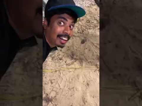 مرتضى قلب الثلاجه 