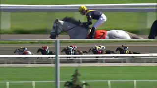 2026 $150,000 Selene Stakes (G3) at @Woodbine
