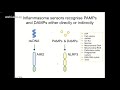 Man S M (2019): The inflammasome: an anti-microbial machinery against bacterial infection