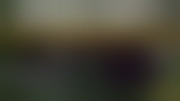 JEI Integration Mod 1.16.5/1.15.2/1.12.2 & How To Download and Install for Minecraft