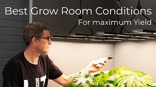 Best Grow Room Conditions to maximise growth and yield | Light (PAR), Temperature, Humidity and Air