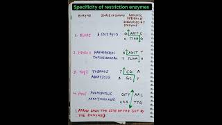 Specificity of restriction endonuclease enzymes #educationalshorts #medicalbiochemistry#exam