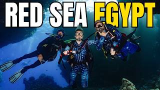Red Sea Dive Trip 2026! 🇪🇬