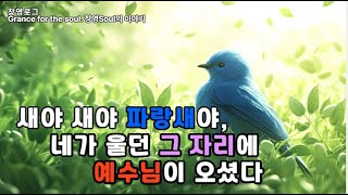 오창영목사_새야 새야 파랑새야… 그 피 흘리는 자리, 예수님은 오늘도 거기에 앉으셨습니다 #파랑새 #예수안에 #고난의예수 #희망 #백성의편에서신예수