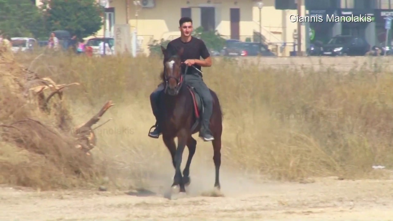 Από τούς αγώνες τού Ιππικού Ομίλου Χίου 20 Οκτ 2019