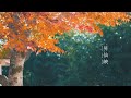 【秋の昇仙峡】 Autumn leaves in JAPAN 紅葉 【α6400 SEL35F18 with Weebill S】
