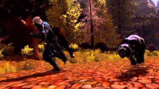 Neverwinter - founders pack trailer HD