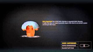 Sako Hammerhead