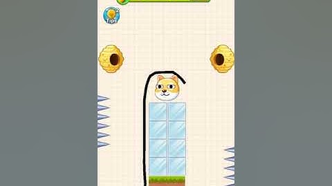 Save the Doge Level 241 - 250 Walkthrough