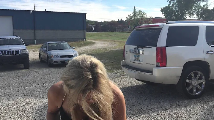 Training Stefani Schaefer's dogs. Fox 8 morning sh...