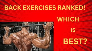 Back Exercises Tier List! Which Exercise Is Best For Hypertrophy