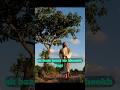 barren fig tree✝️🙏 #love #jesuschrist #love #viral #new #lord #shorts #shortsfeed #shortsviral #god