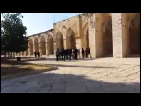 القدس   29 مستوطناً يهودياً يقتحمون المسجد الأقصى   الحقيقة الدولية